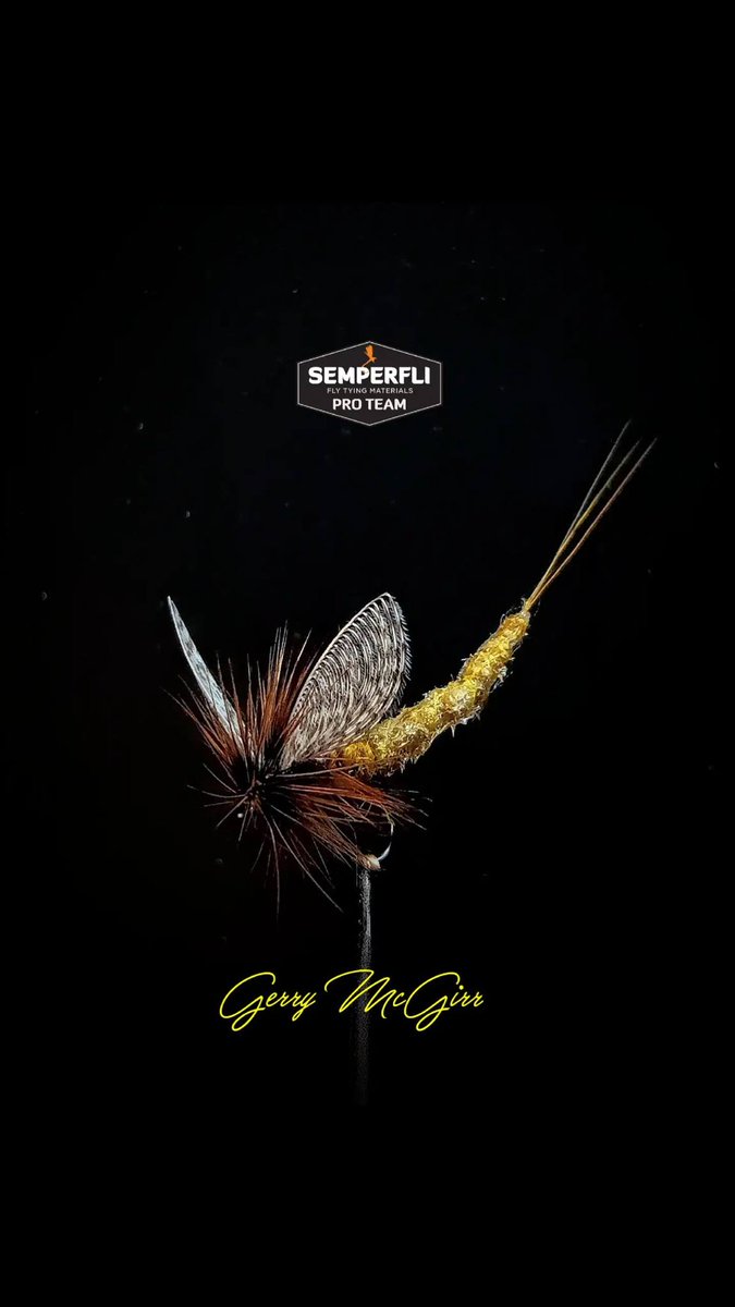 Semperfli Fly Tying tweet media