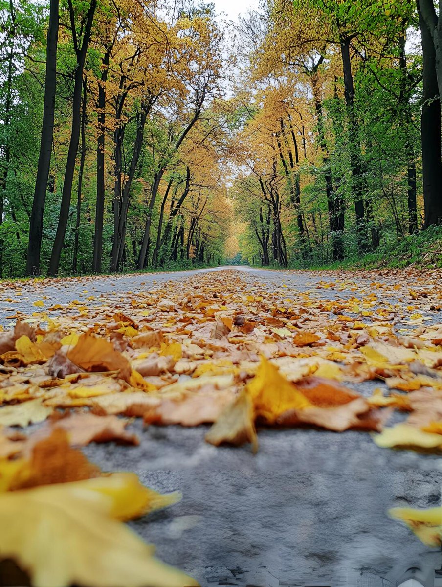 I Am Drunk tweet media