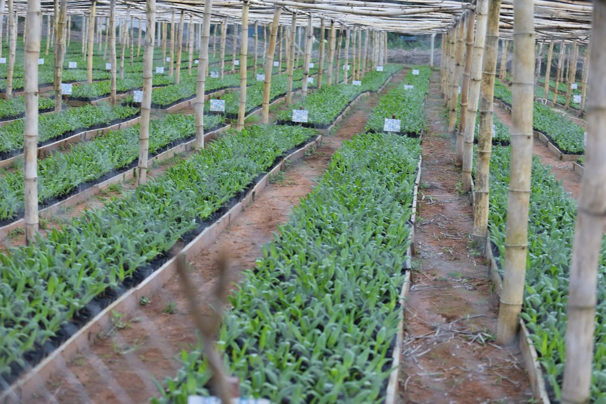 The Uhuru Institute tweet media