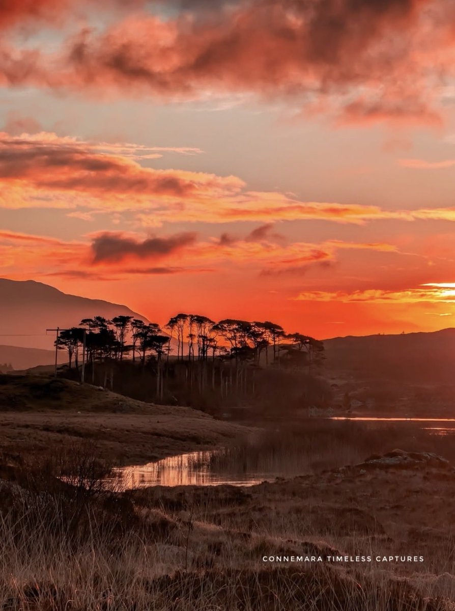First light in Connemara this morning 🌄

#LoveGalway #WildAtlanticWay 
📸 ig/connemara.timeless.captures