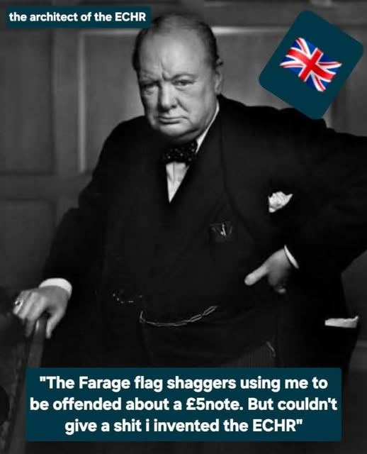 dave lawrence 🐟🐟🐠 tweet media