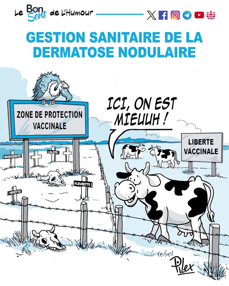 BonSens.Org tweet media