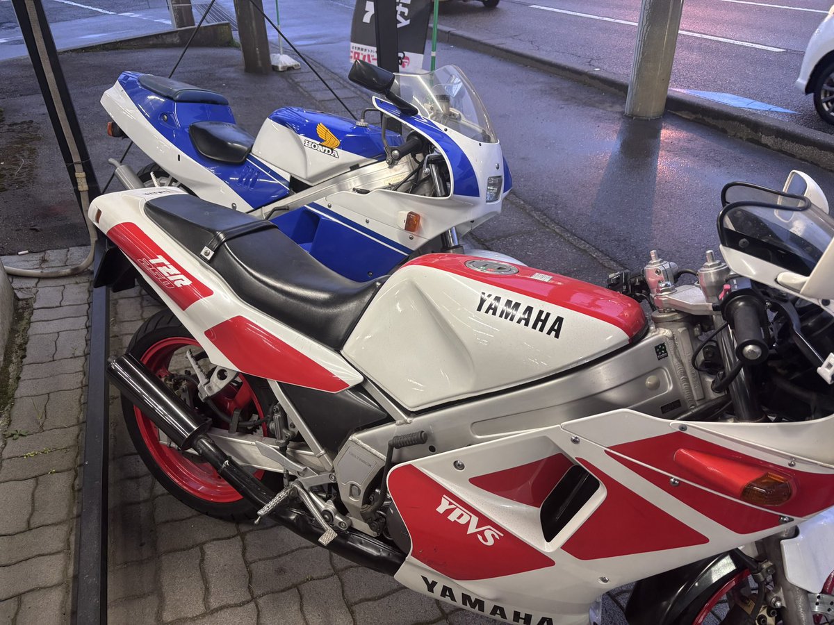 冷凍蜜柑@みやび tweet media