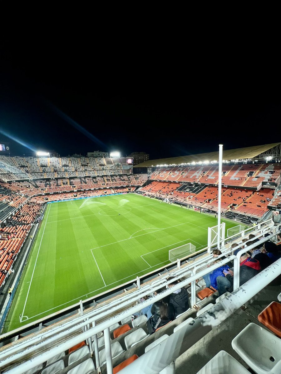 chloe🦋 tweet media