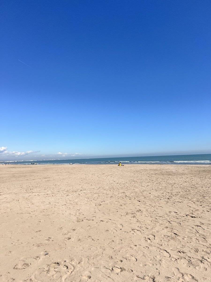 chloe🦋 tweet media