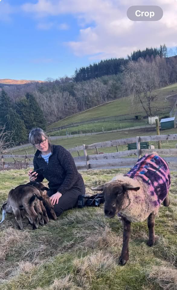 ARROWSMITH🏴 tweet media