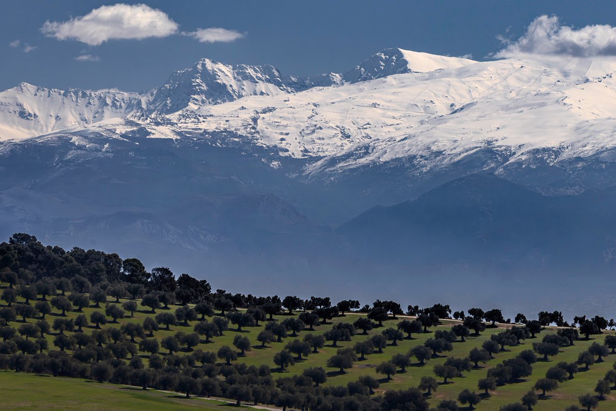 José Antonio Quirantes Calvo tweet media