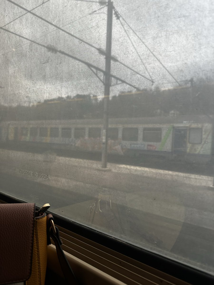 Sinon <a href="/SNCFVoyageurs/">SNCF Voyageurs</a> <a href="/GroupeSNCF/">Groupe SNCF</a> il faut penser à nettoyer vos vitres ! Payer une blinde pour ça … et je vous passe l’odeur horrible bref 💸💸💸