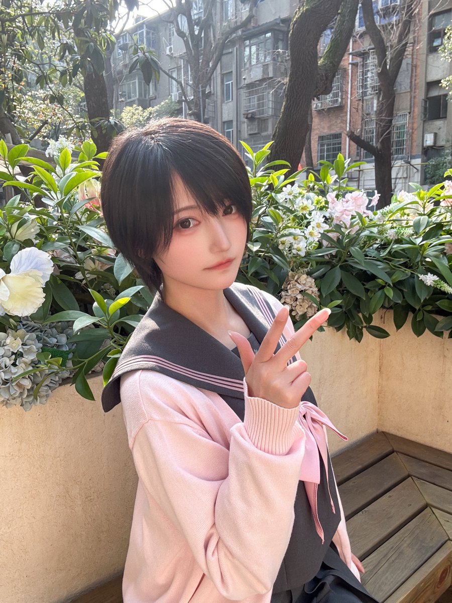 komoshuai's tweet photo. 😺🌸 https://t.co/EQEE1zZGYv