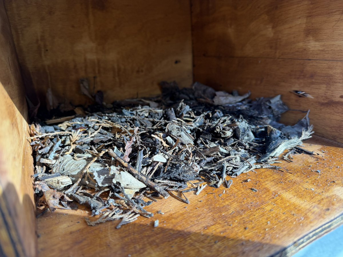 Phil Woollen tweet media