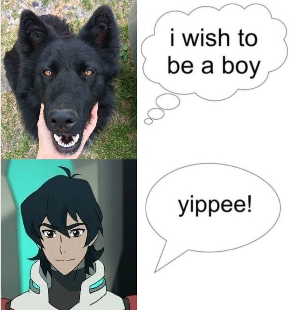 bigtiddiesdestroyer tweet media