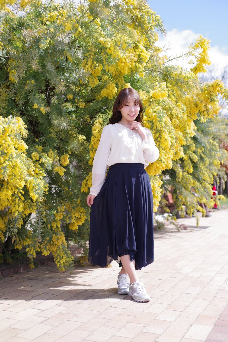 kimura0210 tweet media