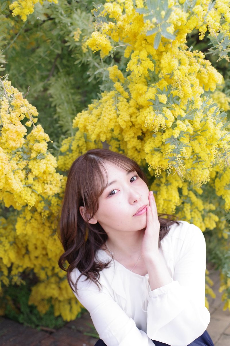 kimura0210 tweet media