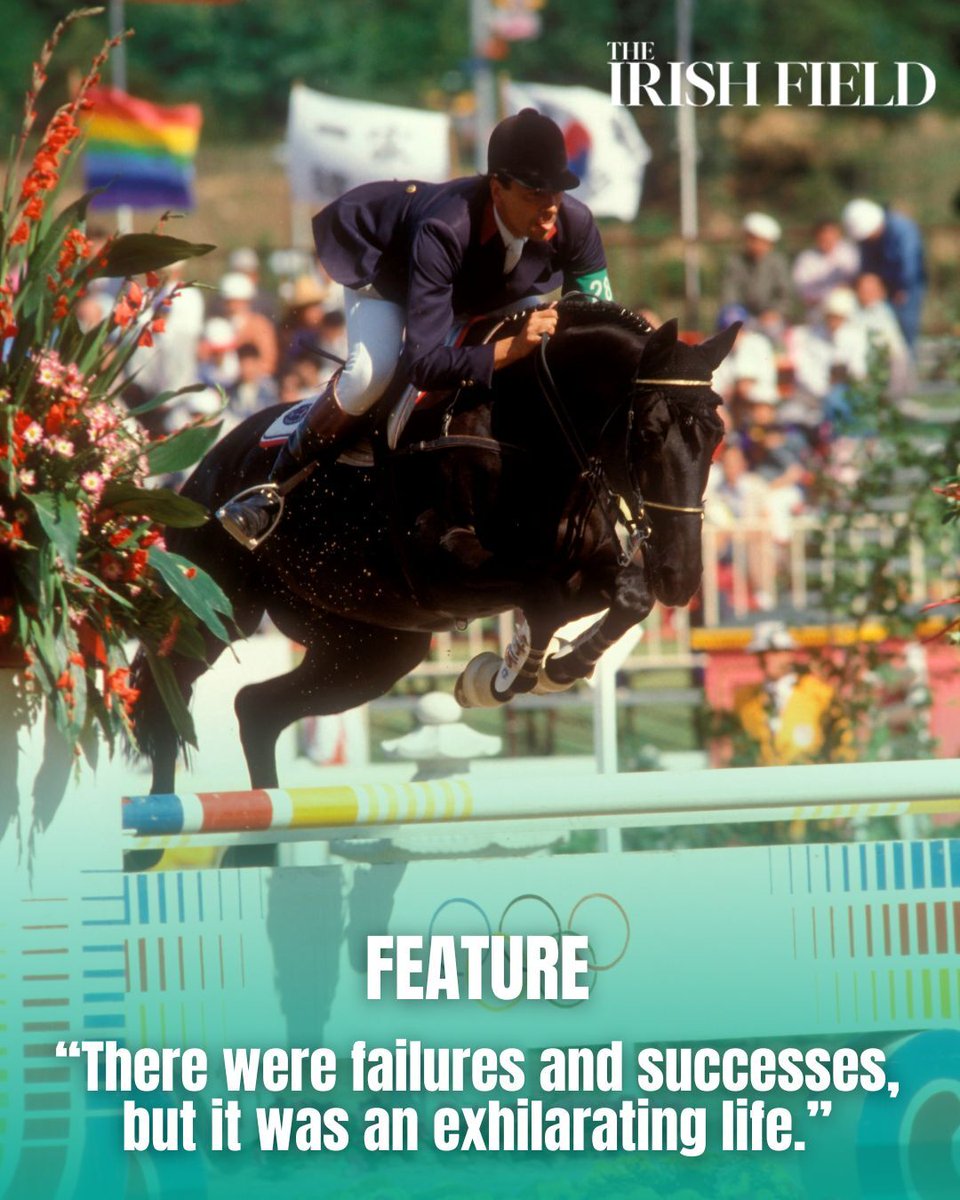 TheIrishFieldHW tweet media