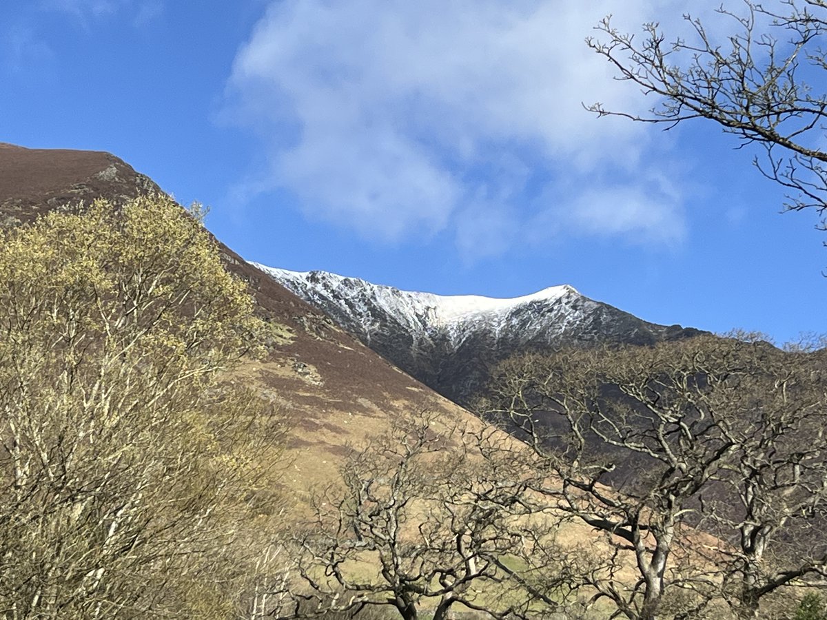 Tim Foster tweet media