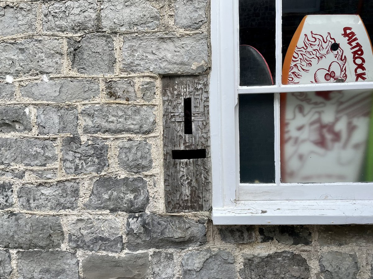 Lynn Heiden tweet media