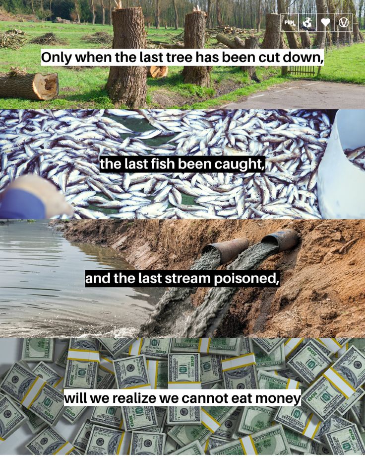 sathyashrii's tweet photo. A Truth Humans Ignore Every Day.

We’re cutting forests, poisoning rivers, and overfishing oceans… just to collect paper (money) we can’t eat. https://t.co/9JFybitsca