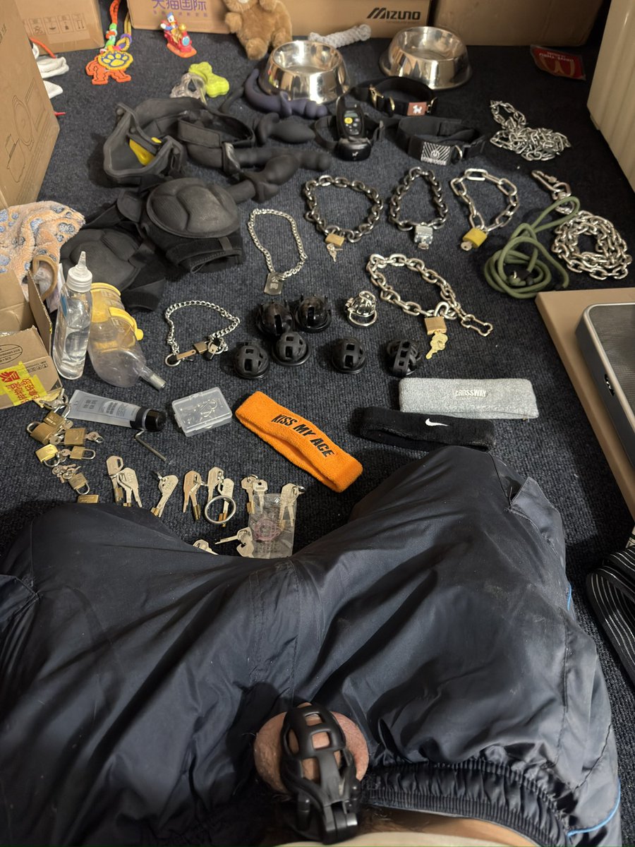 铁锤（腊肠） tweet media