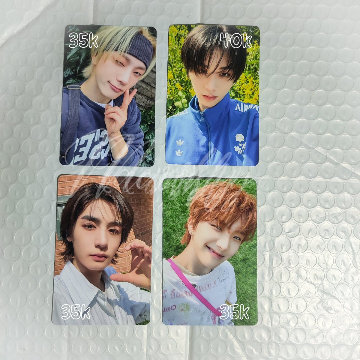 lin🦋🐢 tweet media