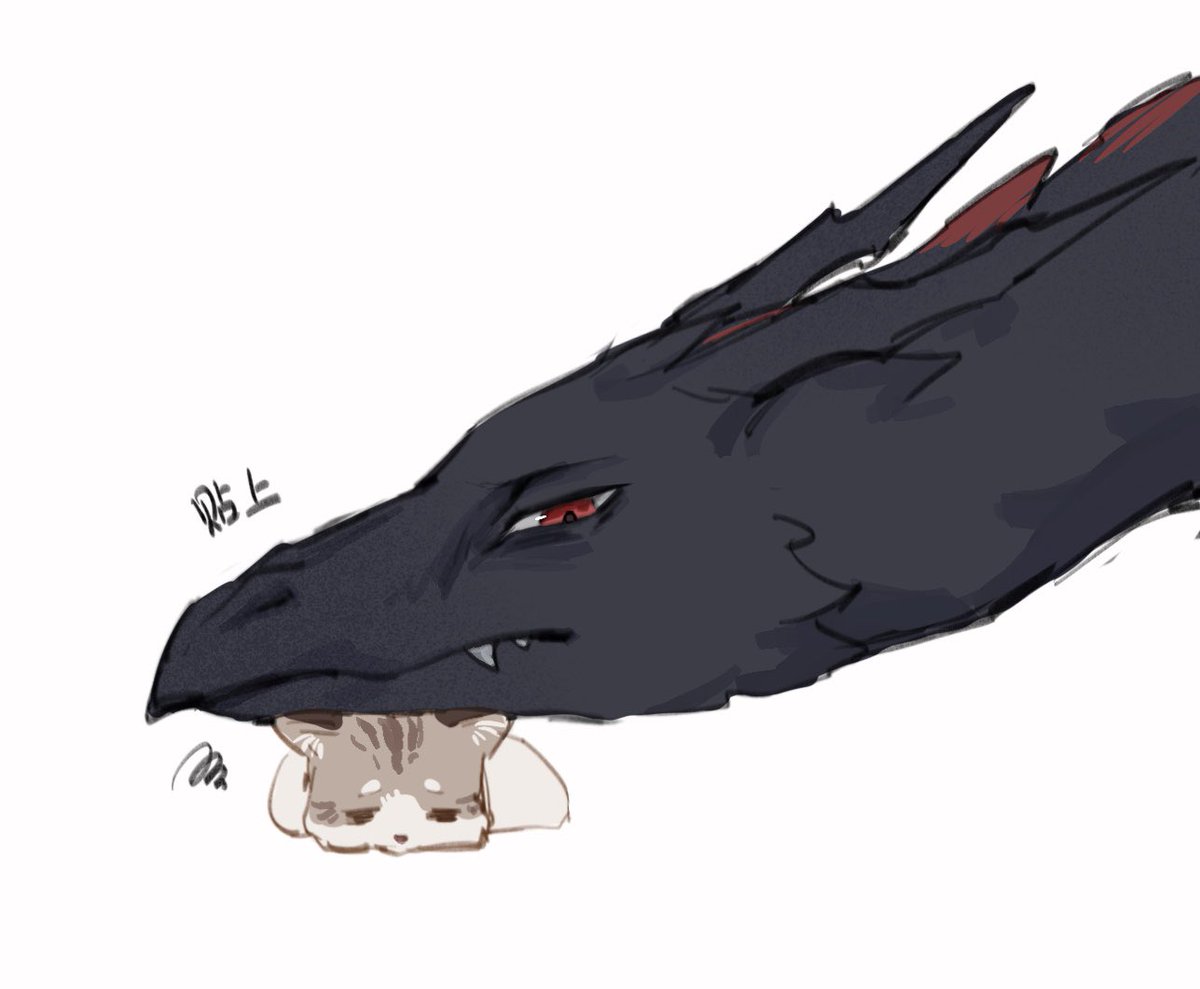 北野沢 tweet media