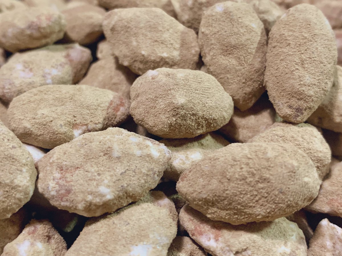 透々(ｽｽﾞ)@甘とレプタイルズ tweet media