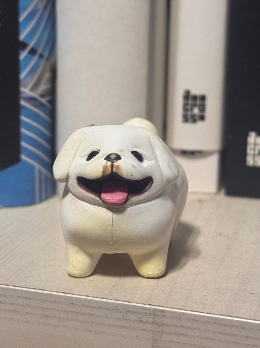 임쪼깐 tweet media