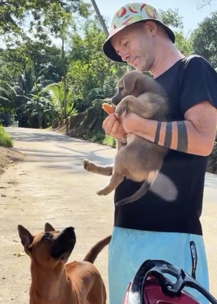 Niall Harbison tweet media