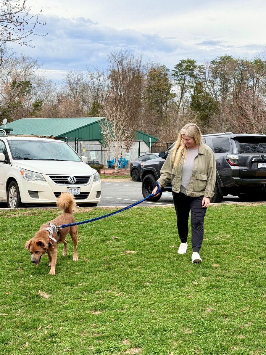 Niall Harbison tweet media