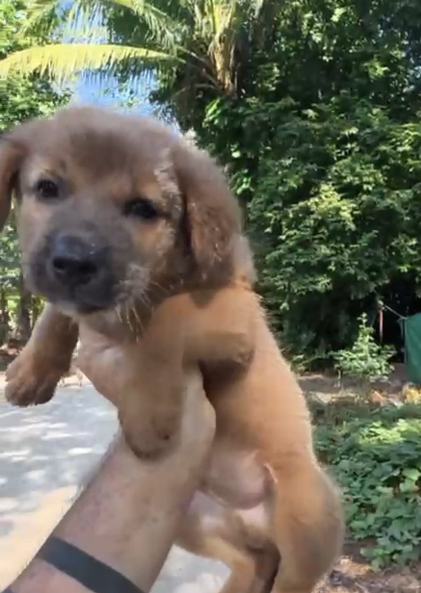 Niall Harbison tweet media