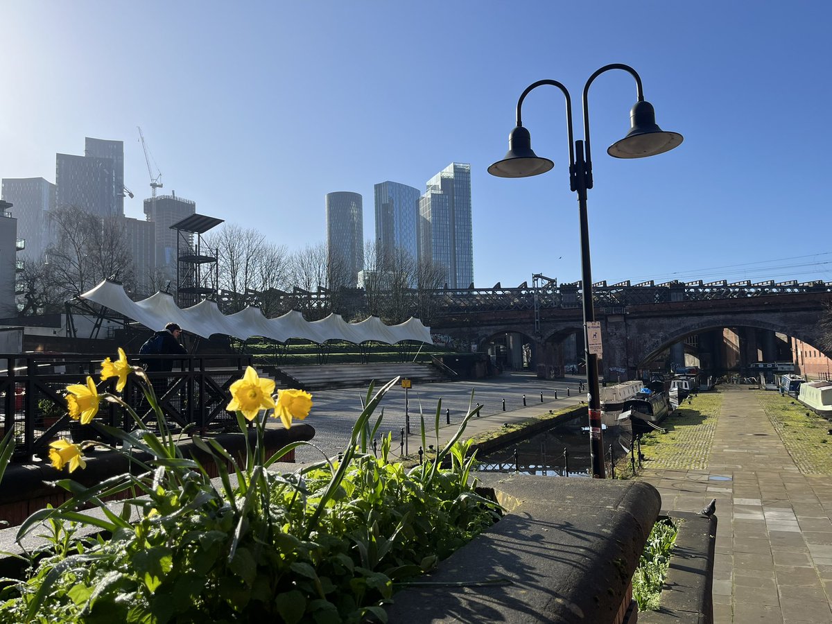 Alison Schrecker tweet media