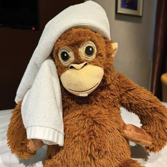 OrangutanonX's tweet photo. What a nice weekend to wake up!

$Orangutan https://t.co/pwPaKiatwM