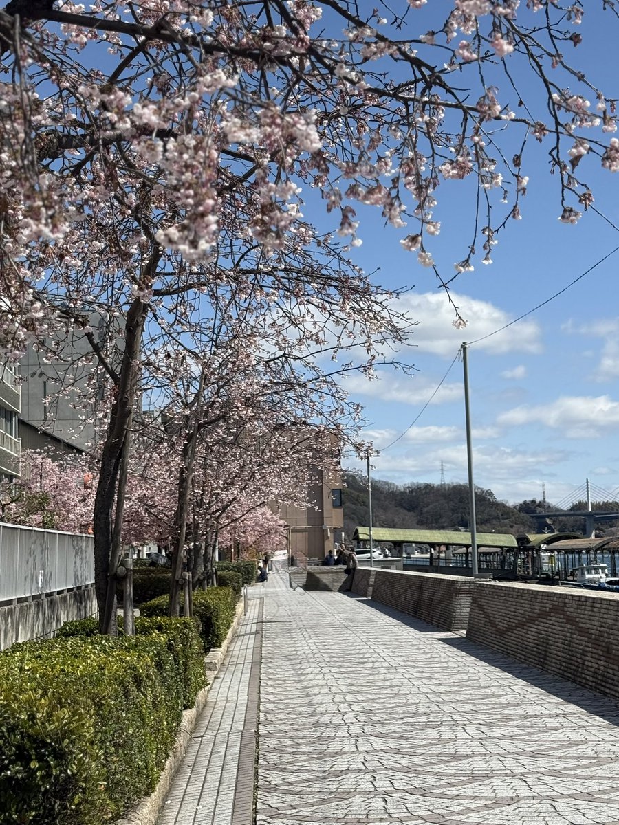 chocotoko tweet media