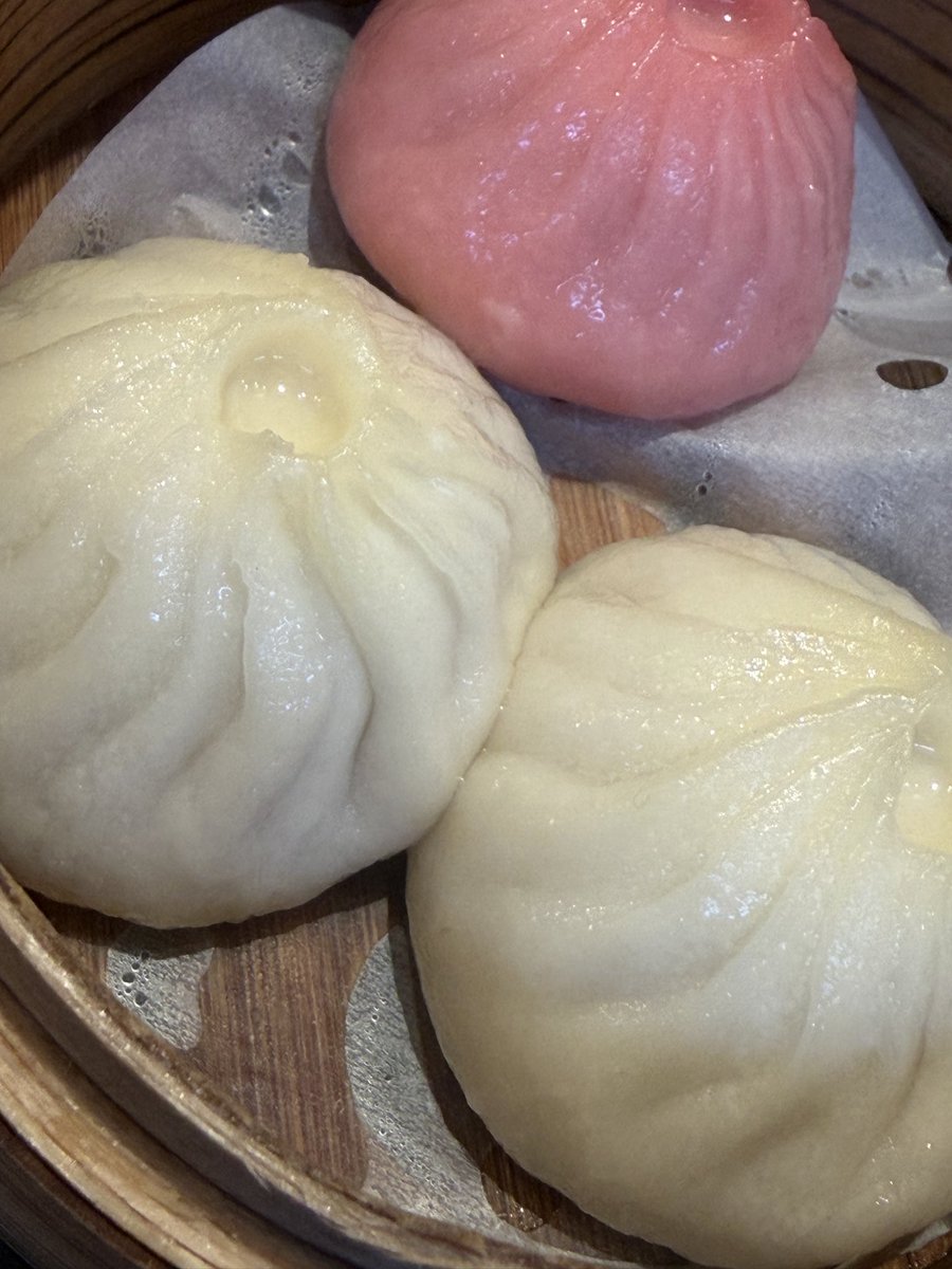 フィクサー＞＜。 tweet media