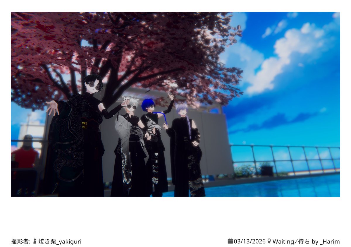 しゃけ丸_salmona mignon tweet media