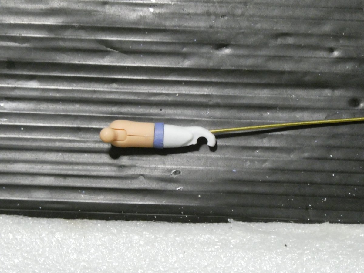 森林 木本 tweet media