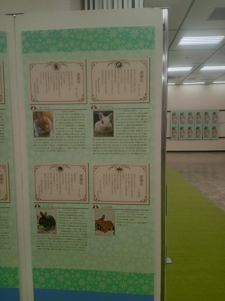 ひのきや Hinokiya♡何でも手編み tweet media