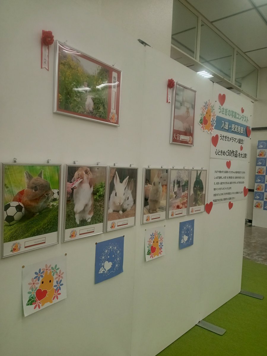 ひのきや Hinokiya♡何でも手編み tweet media