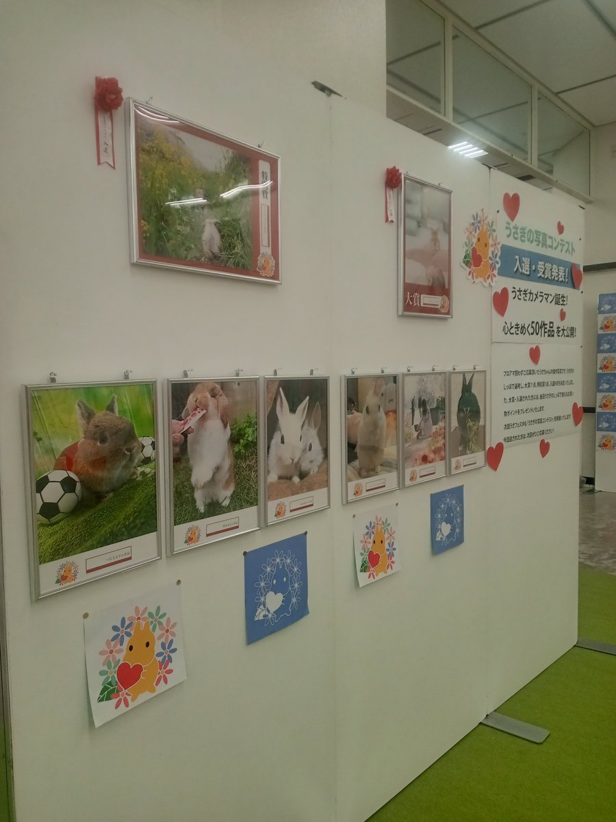 ひのきや Hinokiya♡何でも手編み tweet media