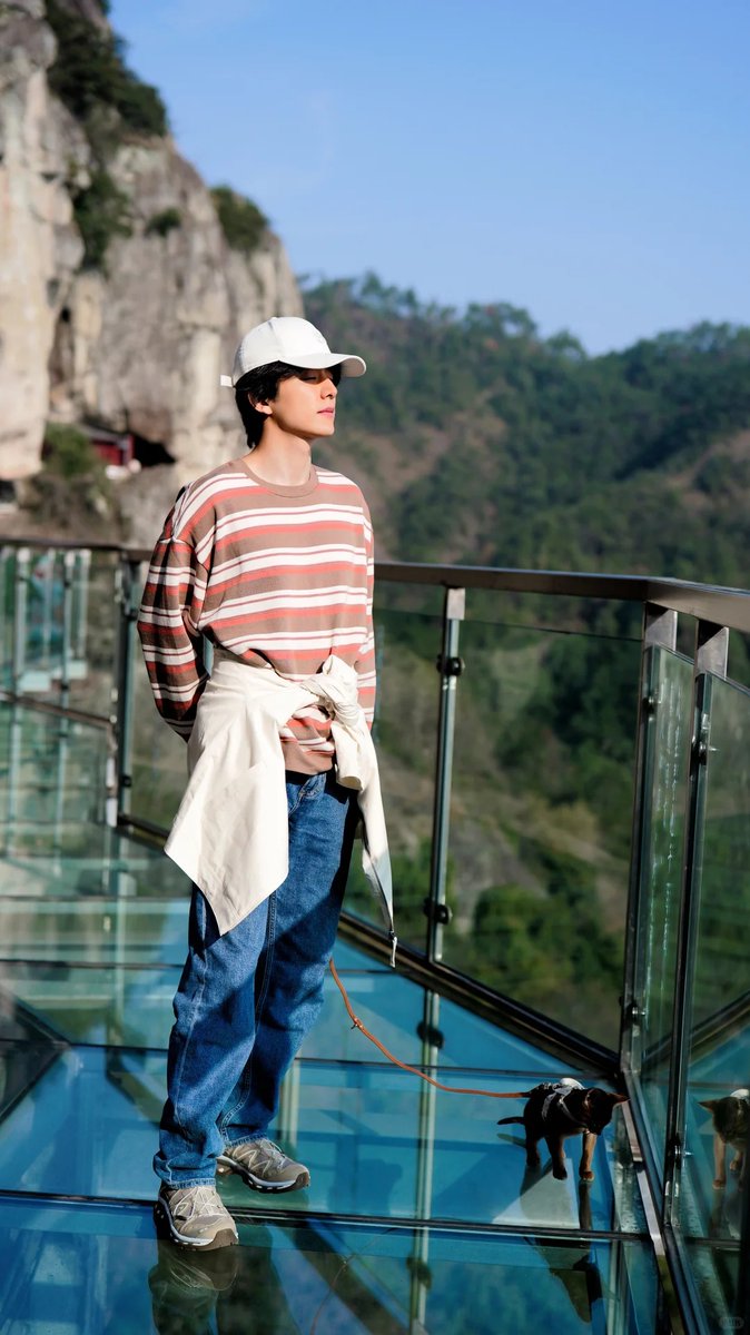 🐥🐱 tweet media