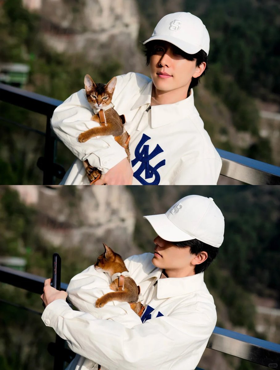 🐥🐱 tweet media