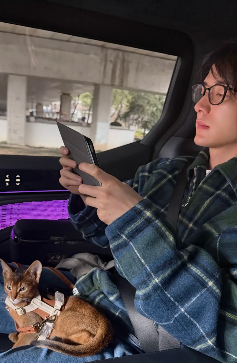 🐥🐱 tweet media