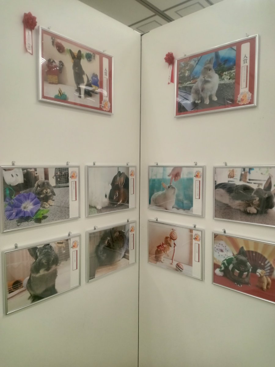 ひのきや Hinokiya♡何でも手編み tweet media