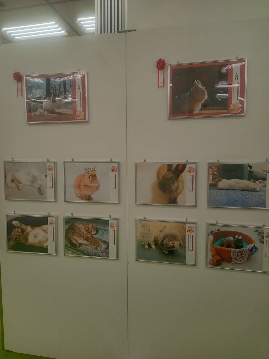 ひのきや Hinokiya♡何でも手編み tweet media