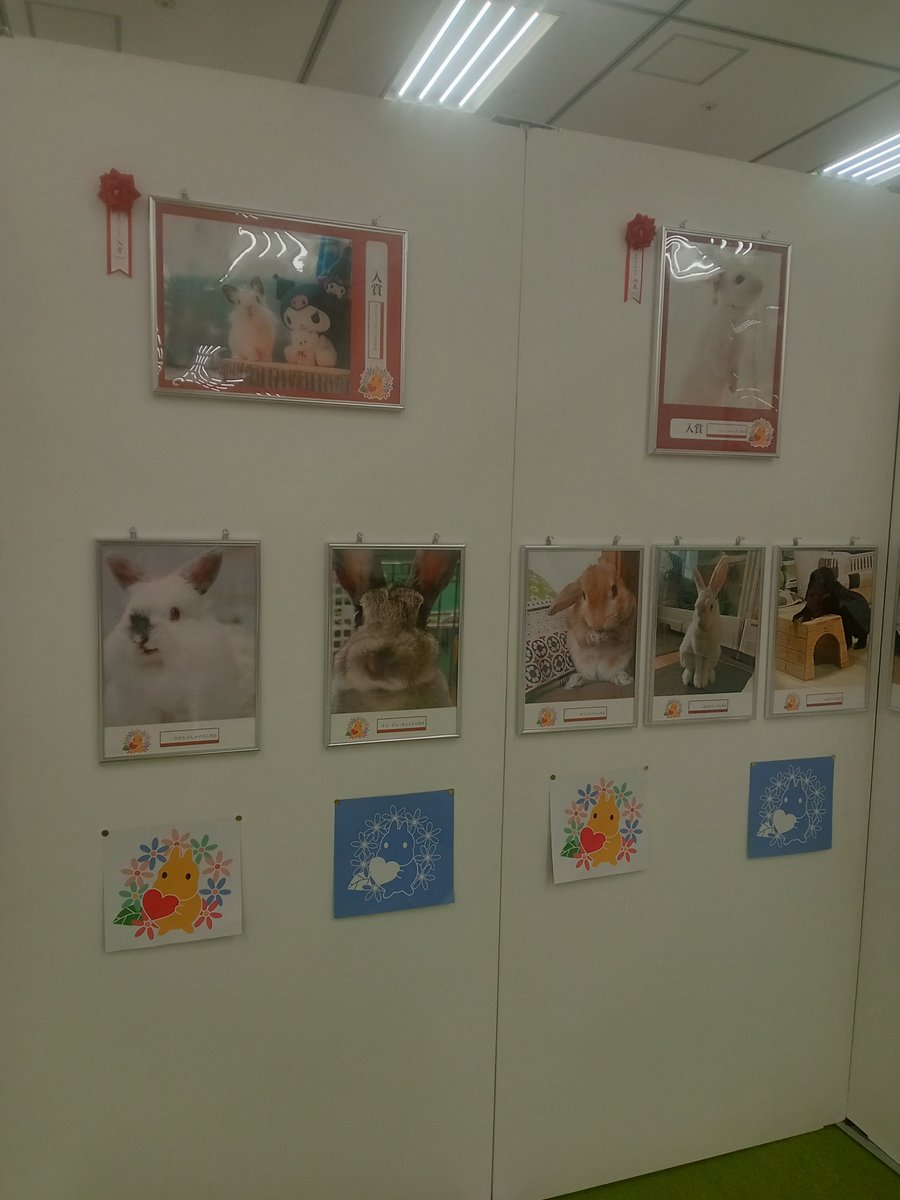 ひのきや Hinokiya♡何でも手編み tweet media