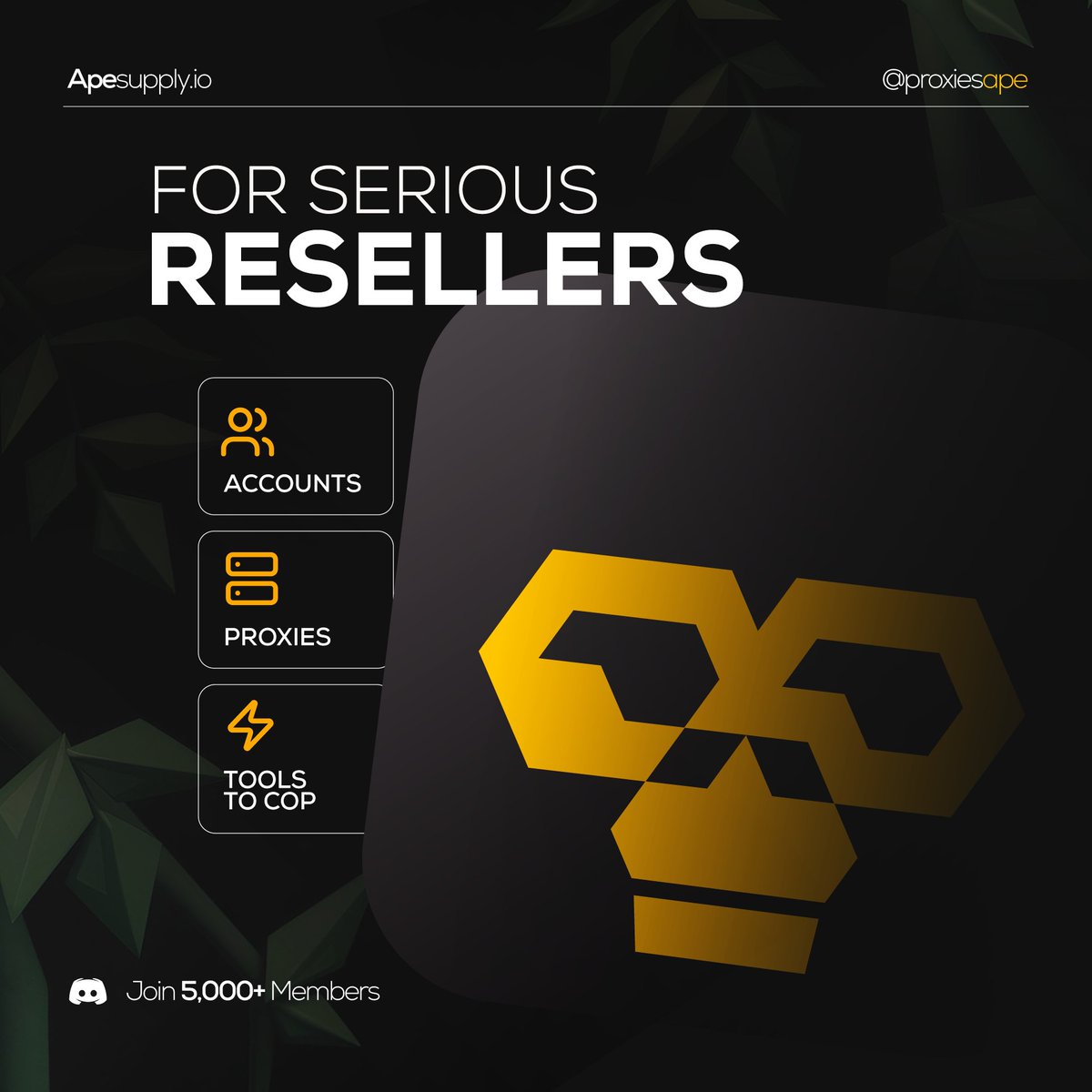 Ape Supply tweet media