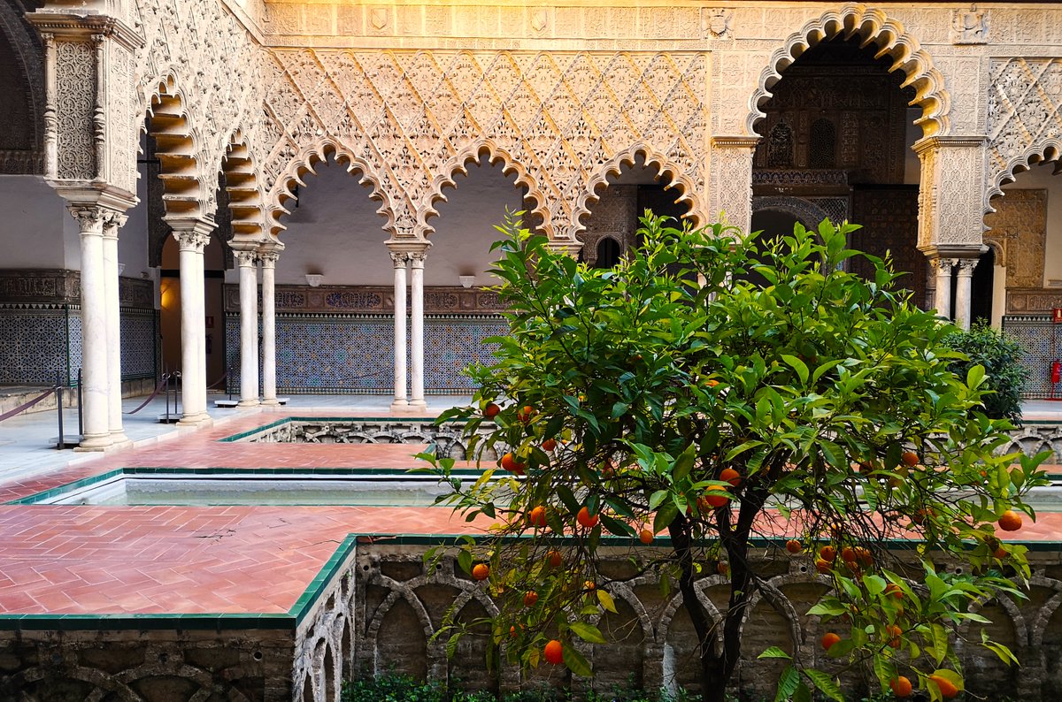 Pedro Ojeda Escudero tweet media