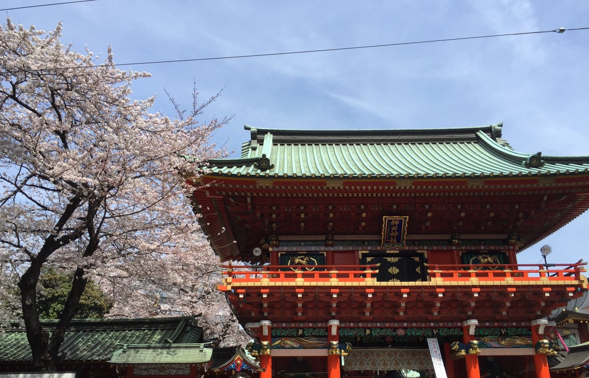 Akiba.TV【公式・秋葉原情報放送局】 tweet media