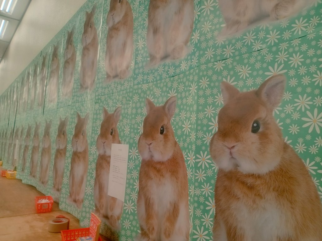 ひのきや Hinokiya♡何でも手編み tweet media