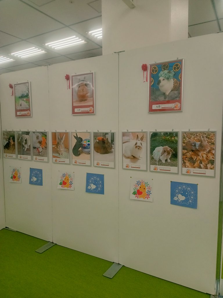 ひのきや Hinokiya♡何でも手編み tweet media