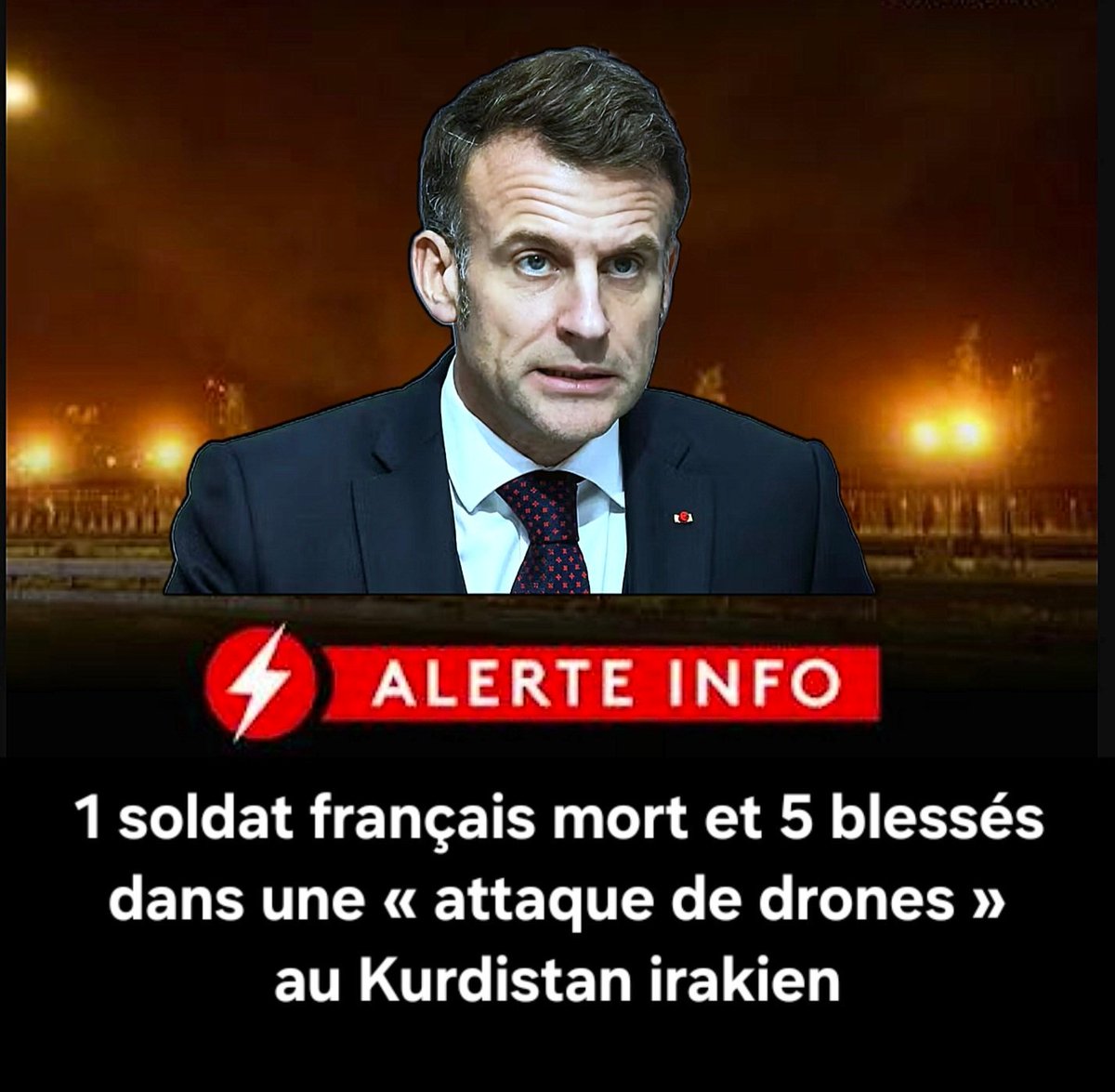 Fleur Morel tweet media